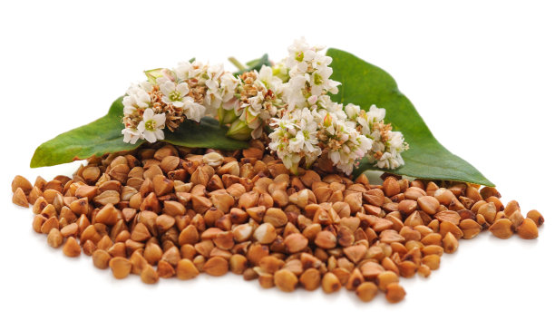 带叶的荞麦花。图片下载