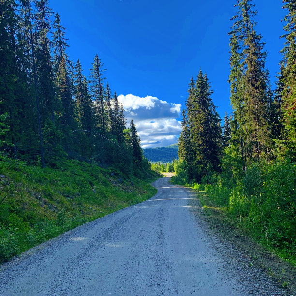2020年夏天图片下载
