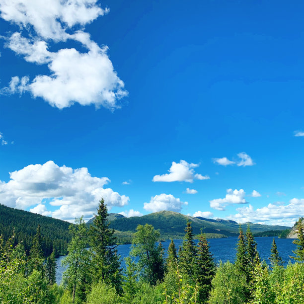 2020年夏天图片下载