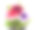 五颜六色的矮牵牛花在花盆里。图片下载