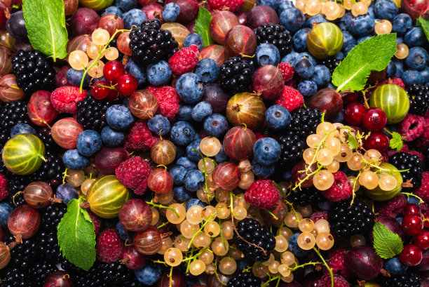 醋栗、蓝莓、桑椹、覆盆子、白加仑子和红加仑子。图片下载
