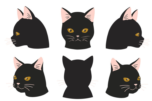 脸朝上的猫，黑猫(没有线)图片下载