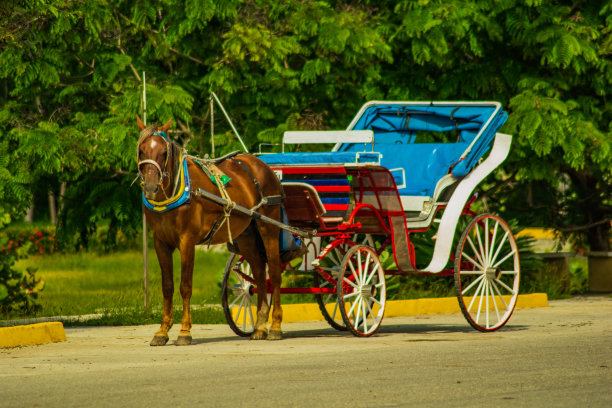古巴的一辆马车图片下载