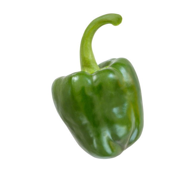 青椒分离株图片下载