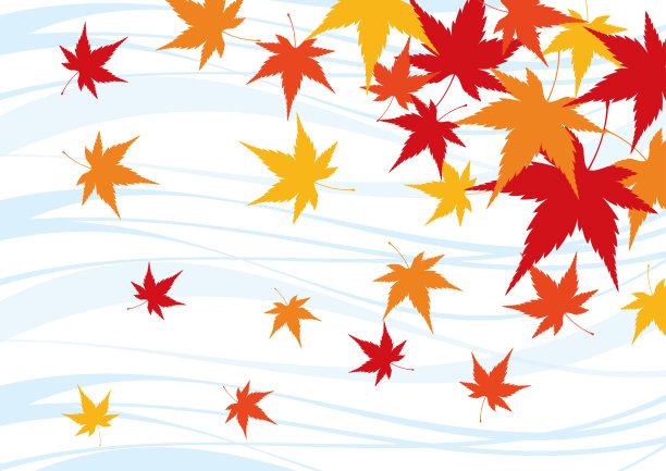 日本枫树的背景图片下载