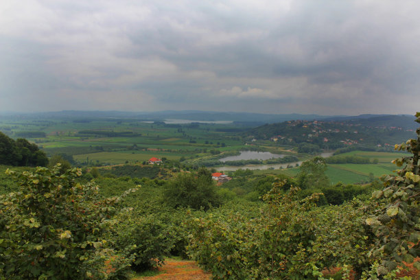 湖泊、树木、田野和房屋的景观图片下载
