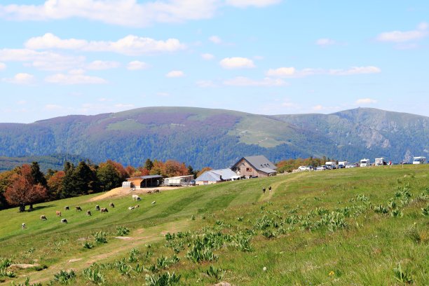 孚日风景，法国图片下载
