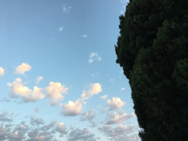 梦幻般的云朵飘过高高的树篱图片下载