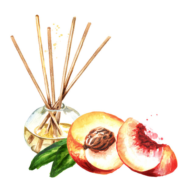 油桃蜜桃香气液体在一个用棍子的玻璃瓶里。手绘水彩插图孤立的白色背景素材图片