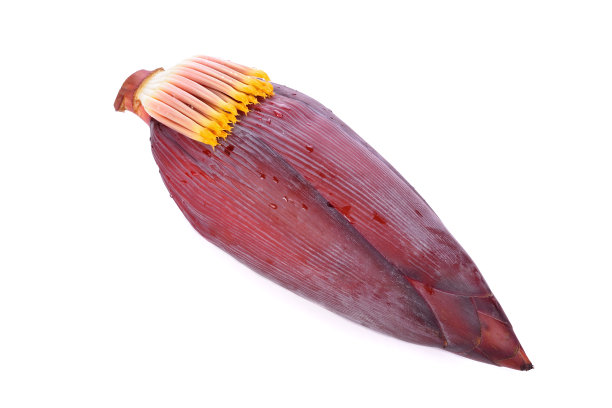 香蕉花孤立在白色上图片下载