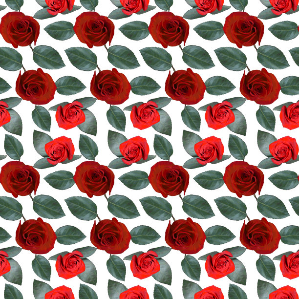 无缝图案与红玫瑰花和绿叶在白色的背景。五彩缤纷的花卉纹理。光栅插图。图片下载