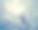 小麻雀在覆盖着雪的早午餐上图片下载