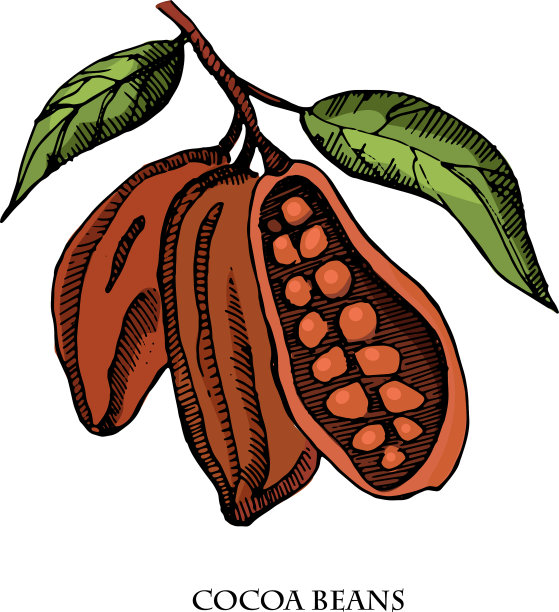 可可豆凝固老式墨水图片下载