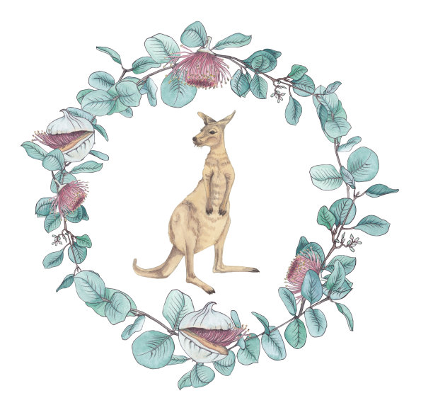 水彩画澳洲动物，袋鼠和桉树花环图片下载