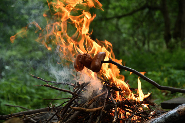 在森林里，在自然的火堆上烤培根图片下载