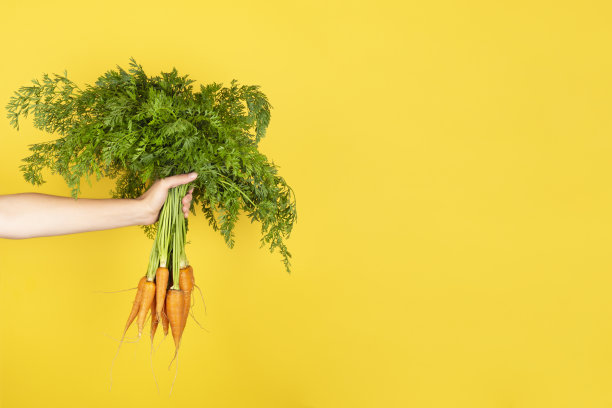 一束新鲜的胡萝卜在一个女性的手孤立在黄色的背景图片下载