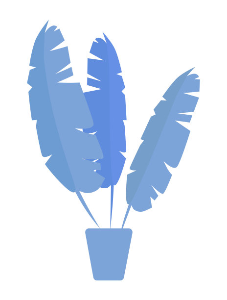 室内植物，医生办公室室内花卉装饰图片下载