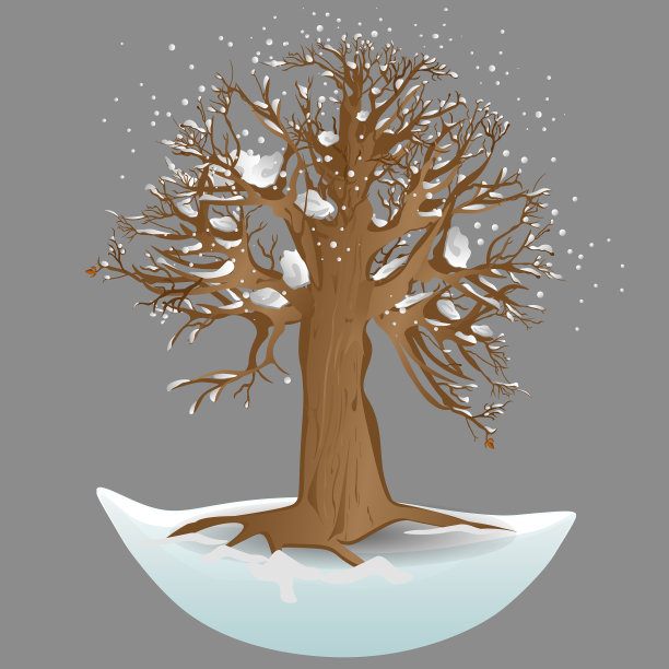 雪中的一棵树。冬天的树。矢量图素材图片