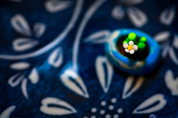 橡皮泥肉质植物图片下载