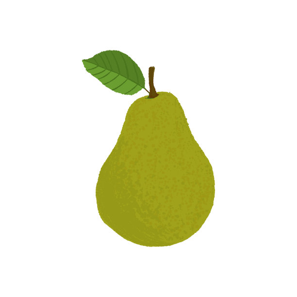 矢量图的梨。素材图片