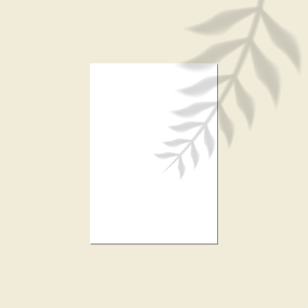 矢量模拟的白色空白垂直纸。阴影覆盖的效果。透明柔和的光和阴影从树枝，植物和叶子。透明叶阴影和自然闪电的模型。图片下载