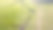 空中拍摄的红色荷斯坦牛放牧草地的照片显示了他们从日落时在草地上的长影子，这些奶牛通常用于乳制品生产图片下载