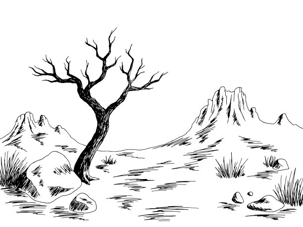 沙漠图形黑白景观死树素描插图矢量图片下载