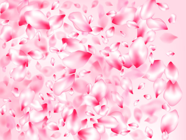 粉红色的樱花花瓣孤立图片下载