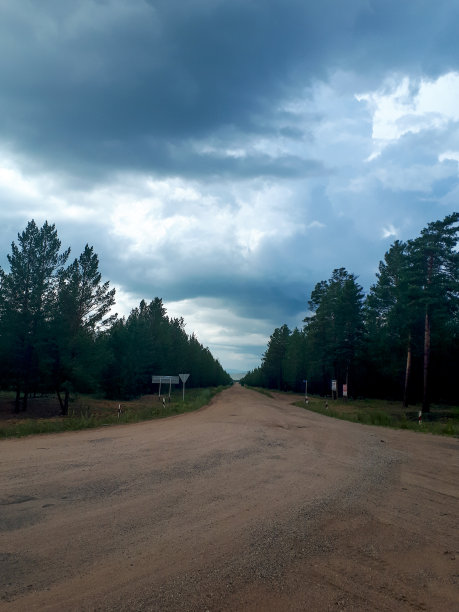 这是一条乡间小路穿过松树林的照片，摄于夏夜暴雨天气之前，乌云密布图片下载