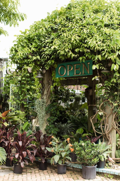 绿色和金色复古的“开放”标志在花园商店被绿色植物包围图片下载