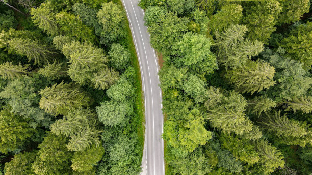 穿过森林的道路——清晨从空中拍摄的照片图片下载