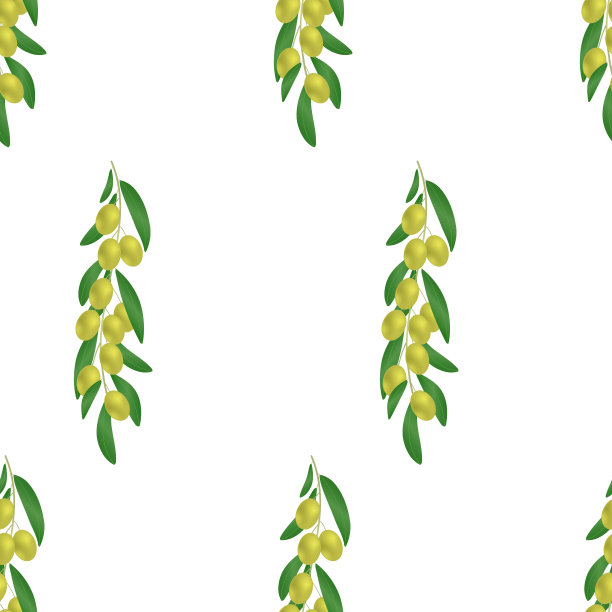 矢量无缝模式的橄榄叶上的白色背景。适用于织物、包装、餐巾纸等印刷图片下载