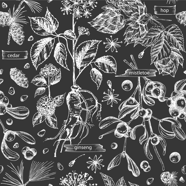 无缝模式与复古手绘草图图片下载