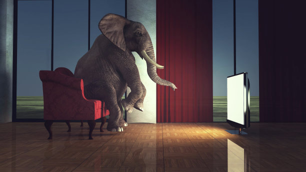 大象坐在沙发上，在客厅看电视。在线流电影概念。这是一个3d渲染图。图片下载