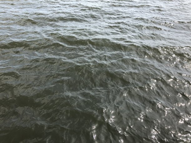 流动的河流的特写图片下载