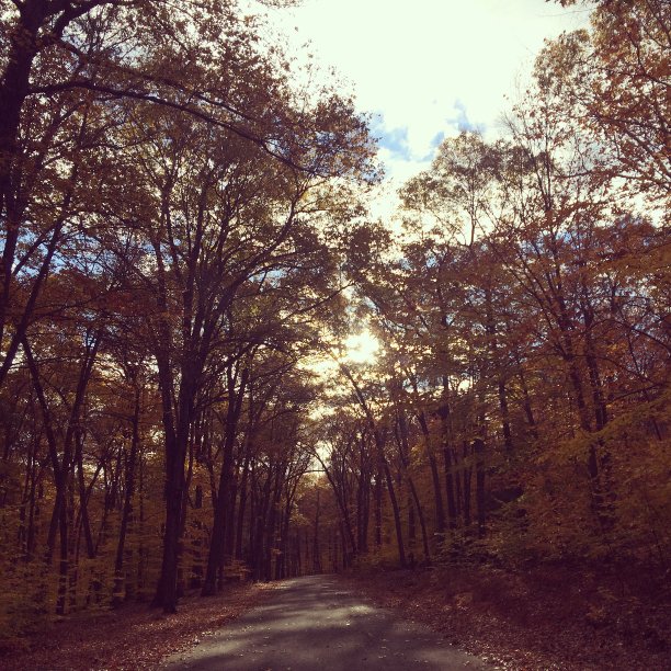 散步。图片下载