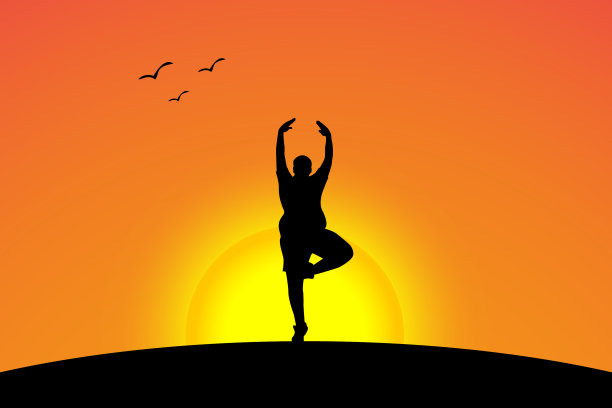 橙色天空中飞鸟的剪影图片下载