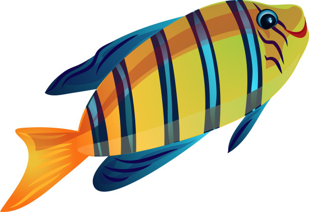 有蓝色条纹的珊瑚鱼图片下载