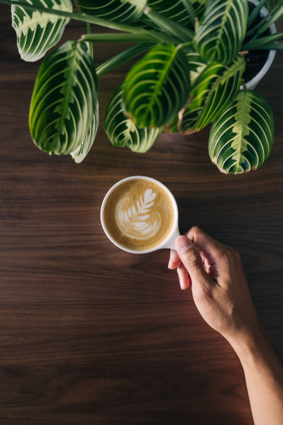 一个人拿着一杯咖啡和拿铁艺术在木桌和植物图片下载