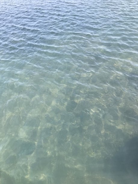 海景纹理图片下载