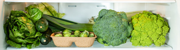 有绿色蔬菜的现代冰箱。健康新鲜的营养。健康的饮食和生活方式图片下载