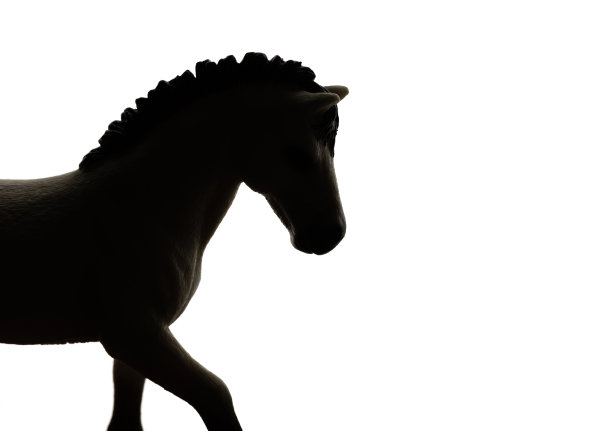 马的轮廓图片下载