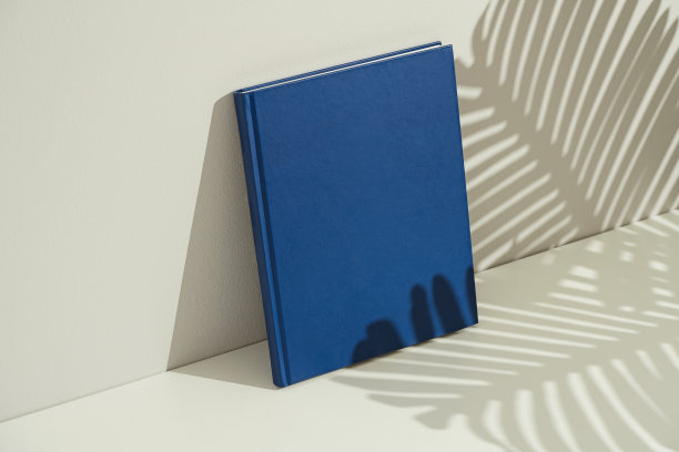 蓝皮书封面模型，模板图片下载