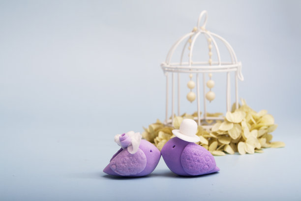 优雅的小鸟象征新婚夫妇。婚礼的概念。本空间图片下载