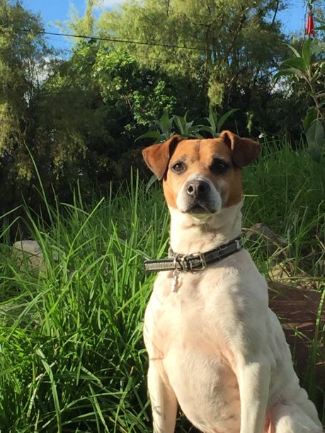 暮色中的镜头图片下载