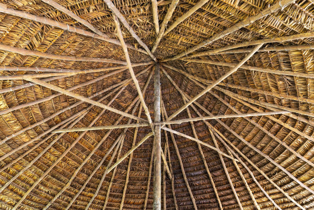 室内屋顶建筑，亚马逊雨林图片下载
