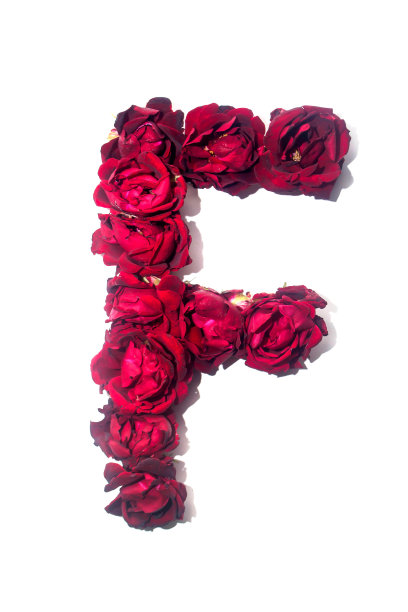 英语字母表中的一个字母图片下载