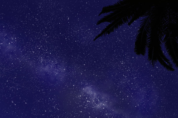 美丽的云景与棕榈树图片下载