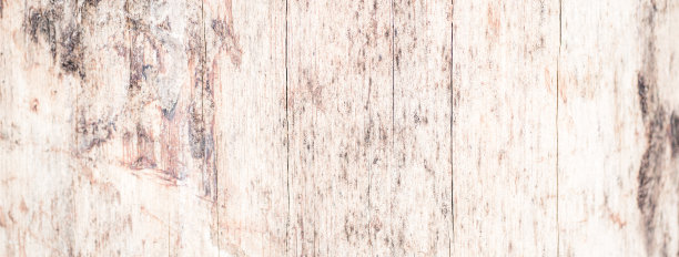 真树老木纹理。木材背景与棕色绿色结构。自然森林乡村照片。生态松树皮。图片下载