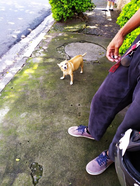 走在街上图片下载